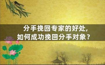 分手挽回专家的好处,如何成功挽回分手对象？