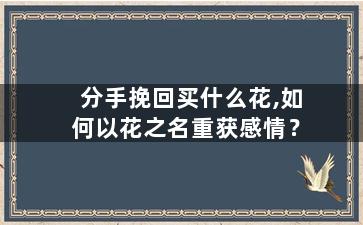 分手挽回买什么花,如何以花之名重获感情？
