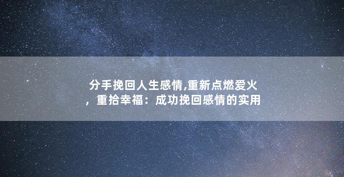 分手挽回人生感情,重新点燃爱火，重拾幸福：成功挽回感情的实用技巧