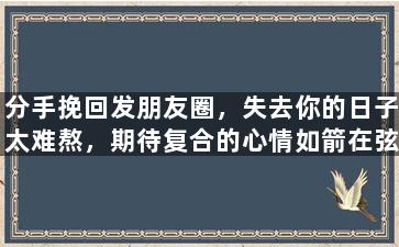 分手挽回发朋友圈，失去你的日子太难熬，期待复合的心情如箭在弦。