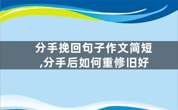 分手挽回句子作文简短,分手后如何重修旧好