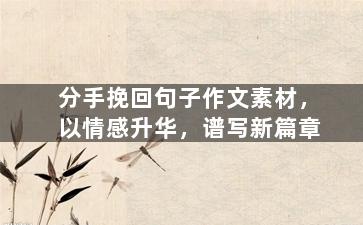 分手挽回句子作文素材，以情感升华，谱写新篇章