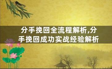 分手挽回全流程解析,分手挽回成功实战经验解析
