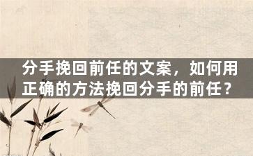 分手挽回前任的文案，如何用正确的方法挽回分手的前任？