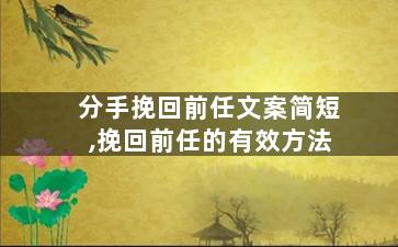 分手挽回前任文案简短,挽回前任的有效方法