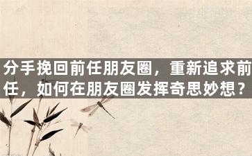 分手挽回前任朋友圈，重新追求前任，如何在朋友圈发挥奇思妙想？