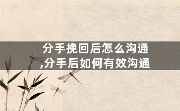 分手挽回后怎么沟通,分手后如何有效沟通