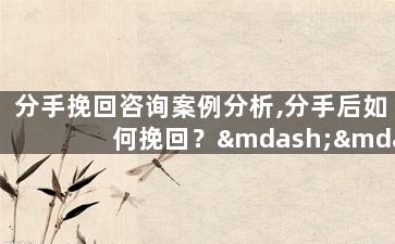 分手挽回咨询案例分析,分手后如何挽回？——情感咨询案例分析