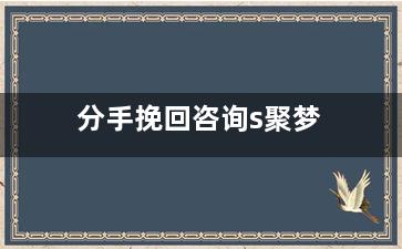 分手挽回咨询s聚梦（分手挽回的概率有多大）