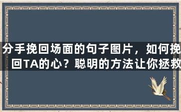 分手挽回场面的句子图片，如何挽回TA的心？聪明的方法让你拯救你们的爱情！