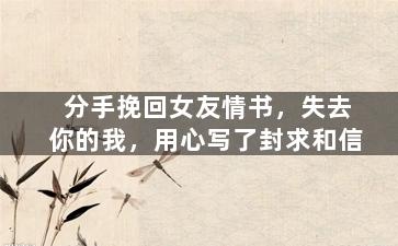 分手挽回女友情书，失去你的我，用心写了封求和信