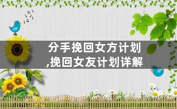 分手挽回女方计划,挽回女友计划详解
