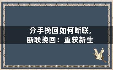 分手挽回如何断联,断联挽回：重获新生