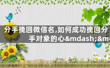 分手挽回微信名,如何成功挽回分手对象的心——微信名实用技巧