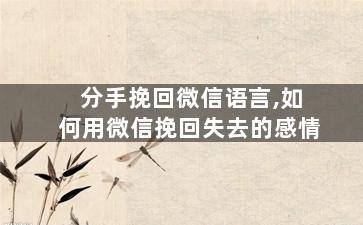 分手挽回微信语言,如何用微信挽回失去的感情