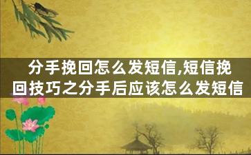 分手挽回怎么发短信,短信挽回技巧之分手后应该怎么发短信