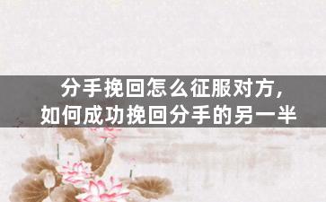 分手挽回怎么征服对方,如何成功挽回分手的另一半