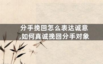 分手挽回怎么表达诚意,如何真诚挽回分手对象