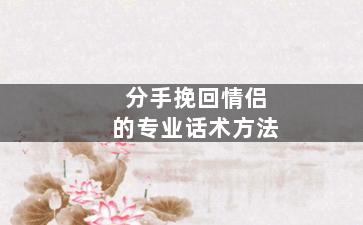 分手挽回情侣的专业话术方法