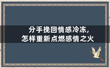 分手挽回情感冷冻,怎样重新点燃感情之火