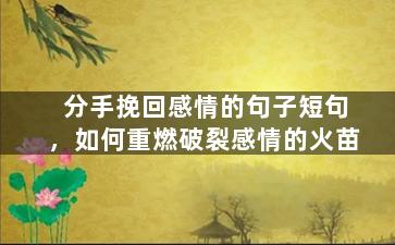 分手挽回感情的句子短句，如何重燃破裂感情的火苗