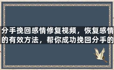 分手挽回感情修复视频，恢复感情的有效方法，帮你成功挽回分手的对象！