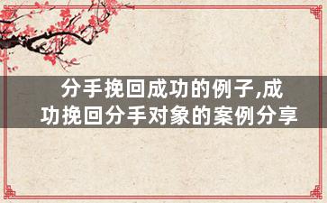 分手挽回成功的例子,成功挽回分手对象的案例分享