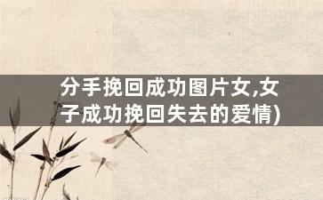 分手挽回成功图片女,女子成功挽回失去的爱情)