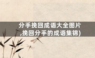 分手挽回成语大全图片,挽回分手的成语集锦)