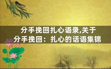 分手挽回扎心语录,关于分手挽回：扎心的话语集锦