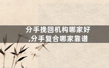 分手挽回机构哪家好,分手复合哪家靠谱