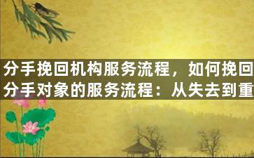 分手挽回机构服务流程，如何挽回分手对象的服务流程：从失去到重修俩情。