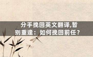 分手挽回英文翻译,暂别重逢：如何挽回前任？