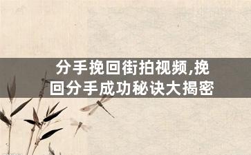 分手挽回街拍视频,挽回分手成功秘诀大揭密