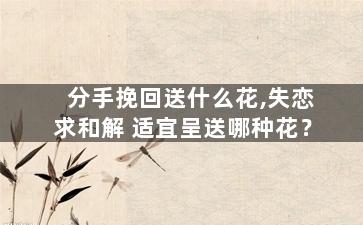 分手挽回送什么花,失恋求和解