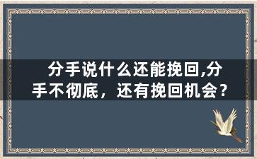 分手说什么还能挽回,分手不彻底，还有挽回机会？