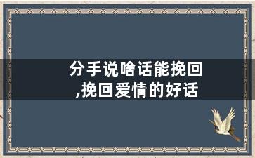 分手说啥话能挽回,挽回爱情的好话