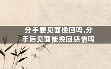 分手要见面挽回吗,分手后见面能挽回感情吗