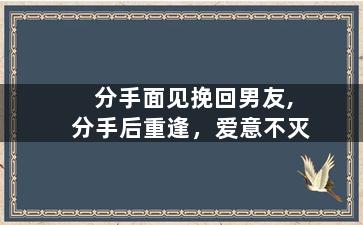 分手面见挽回男友,分手后重逢，爱意不灭