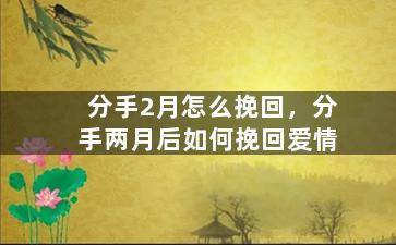 分手2月怎么挽回，分手两月后如何挽回爱情