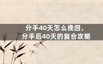 分手40天怎么挽回，分手后40天的复合攻略