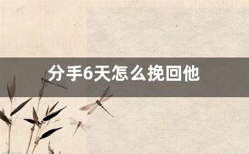 分手6天怎么挽回他（分手6天不联系是不是真的就不联系了）