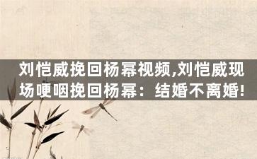 刘恺威挽回杨幂视频,刘恺威现场哽咽挽回杨幂：结婚不离婚!