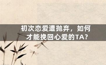 初次恋爱遭抛弃，如何才能挽回心爱的TA？