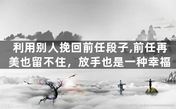利用别人挽回前任段子,前任再美也留不住，放手也是一种幸福