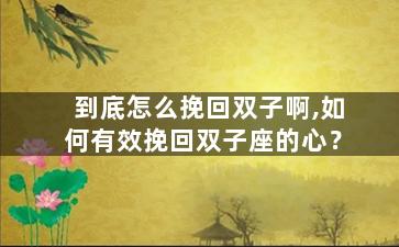 到底怎么挽回双子啊,如何有效挽回双子座的心？