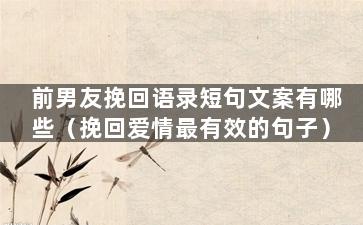 前男友挽回语录短句文案有哪些（挽回爱情最有效的句子）