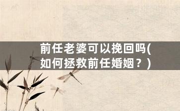 前任老婆可以挽回吗(如何拯救前任婚姻？)