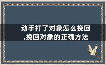 动手打了对象怎么挽回,挽回对象的正确方法
