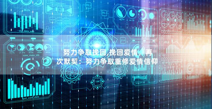 努力争取挽回,挽回爱情，再次默契：努力争取重修爱情信仰